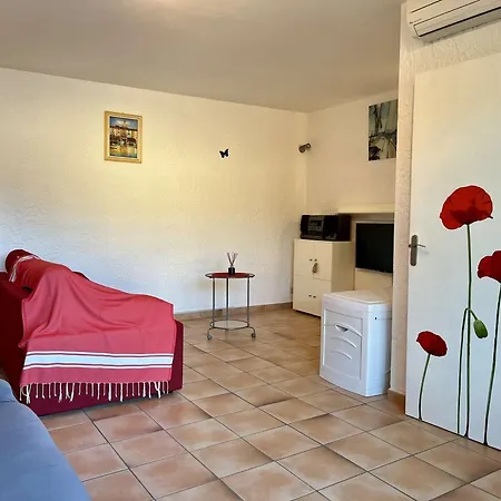 Apartment Climatise A Cavalaire-sur-mer, 2 Pieces, Parking Prive, Proche Plages Et Commerces - Fr-1-226b-181